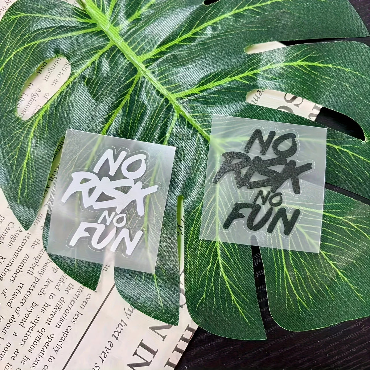 "No Risk No Fun" Vinyl Sticker
